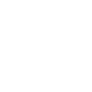 Qantas Points_Keyline_LGE APP_RGB_MONO_WHT_@300dpi 1(1)