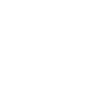 Vector(11)